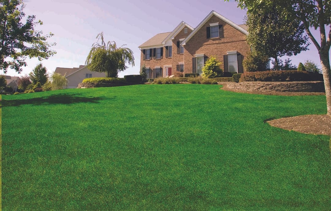 Brick house with a large, well-maintained front lawn.