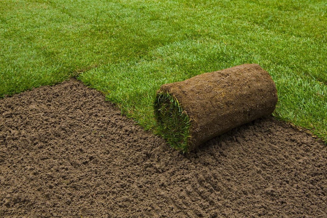 sodding services Milton, sod installation Milton
