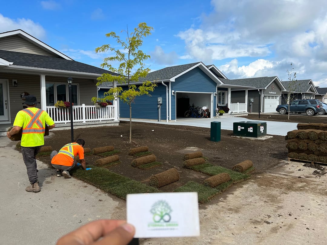 Workers installing sod in the front yard of a new home