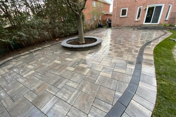 345589355_279794547808602_261704575358964492_n 345589355_279794547808602_261704575358964492_n