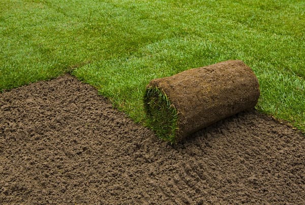 sodding services Milton, sod installation Milton