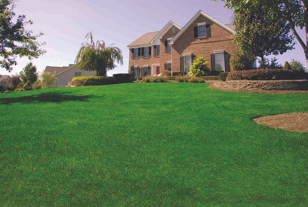 Brick house with a large, well-maintained front lawn.