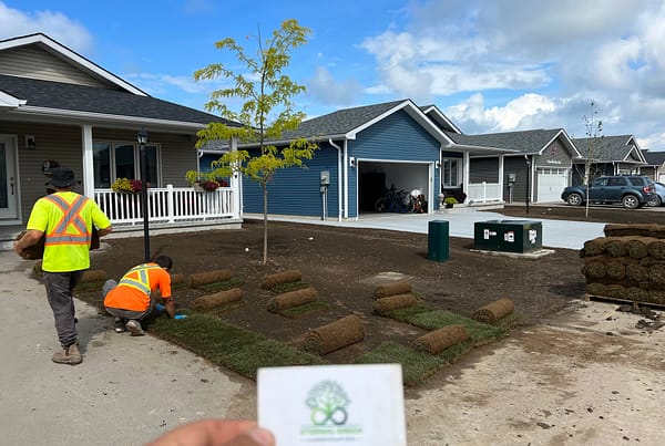 Workers installing sod in the front yard of a new home