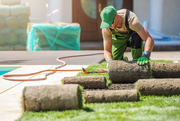 Sodding Services, Sod, Sod Installation, Brampton Sodding Services, Mississauga Sodding Services