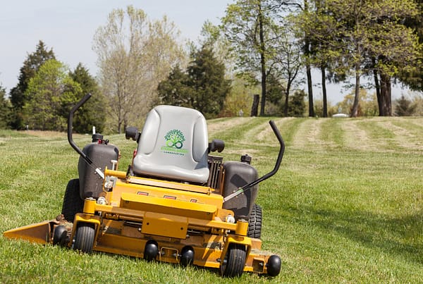 Low-maintenance backyard design, Landscaping for busy homeowners, Easy yard maintenance tips