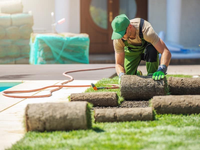 Sodding Services, Sod, Sod Installation, Brampton Sodding Services, Mississauga Sodding Services