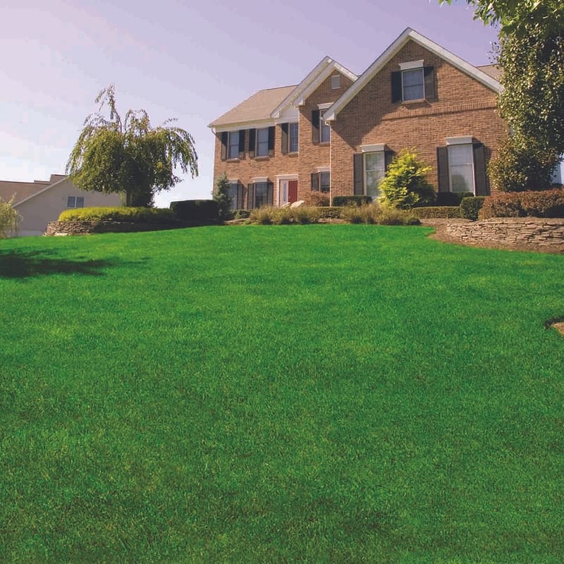 Brick house with a large, well-maintained front lawn.