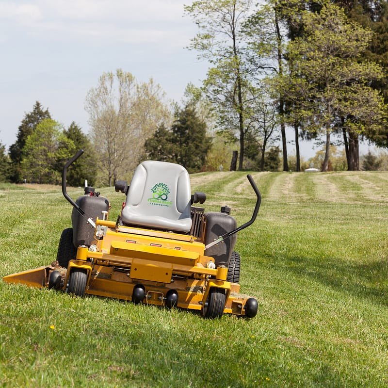 Low-maintenance backyard design, Landscaping for busy homeowners, Easy yard maintenance tips