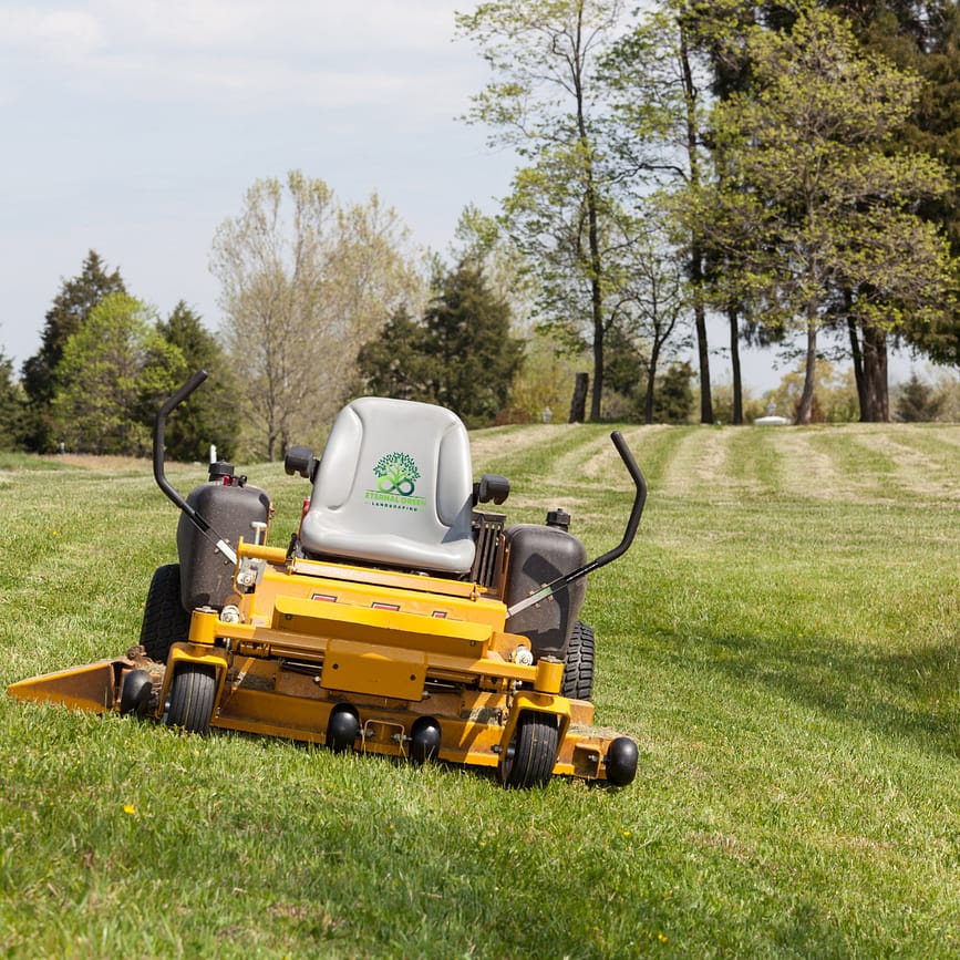 Low-maintenance backyard design, Landscaping for busy homeowners, Easy yard maintenance tips