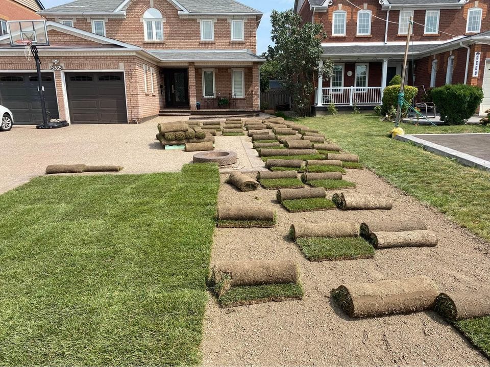 Eternal Green Landscaping photo 3